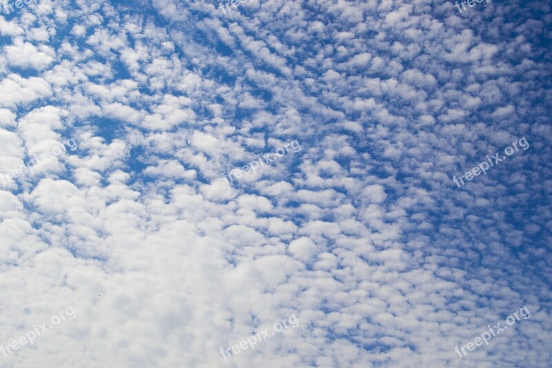 Fluffy Sky Blue White Summer