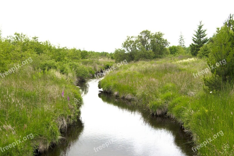 Green Water River Stream Summer