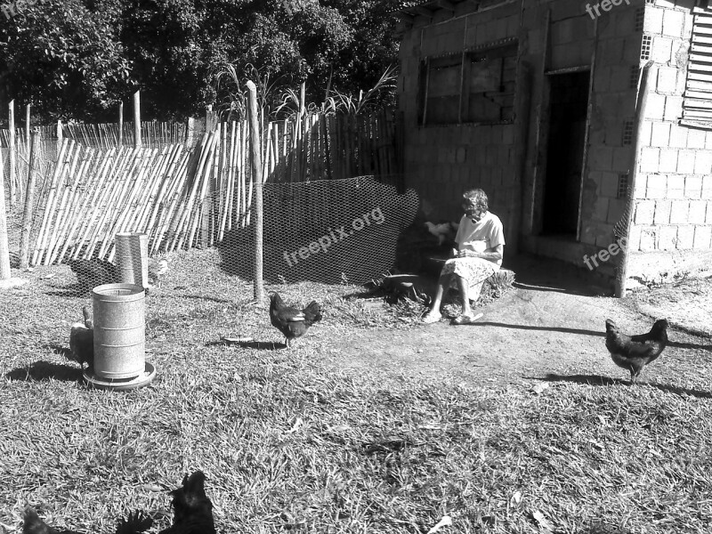 Old Woman Woman Female Grandmother Grandma