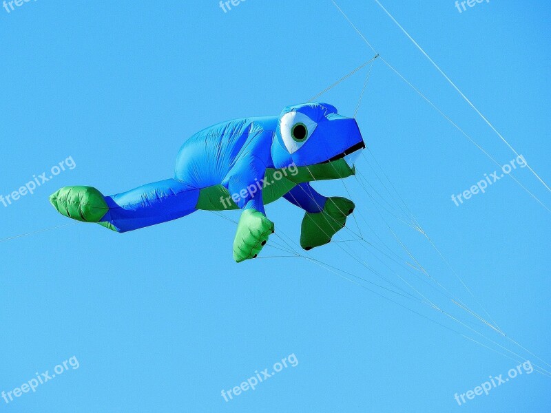 Balloon Dragons Frog Blue Flying