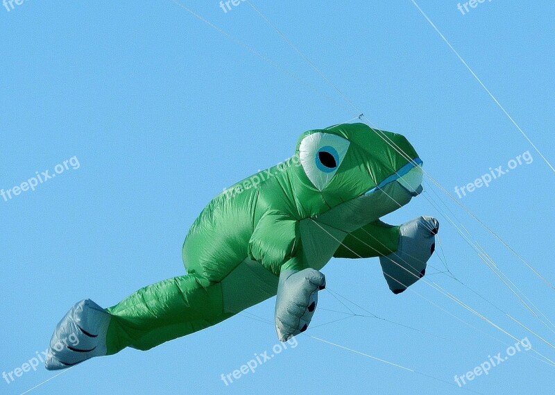 Balloon Dragons Frog Flying Sky