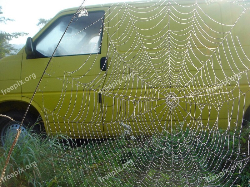 Auto Yellow Web Large Impression