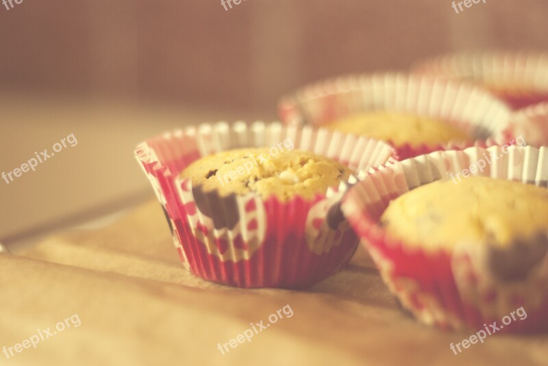 Cupcakes Muffins The Cake Cakes Sweets