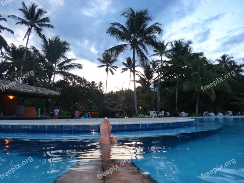 Relax Pool Summer Water Tranquil