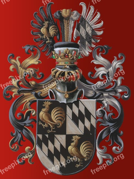 Coat Of Arms European Tradition Hereditary Characters