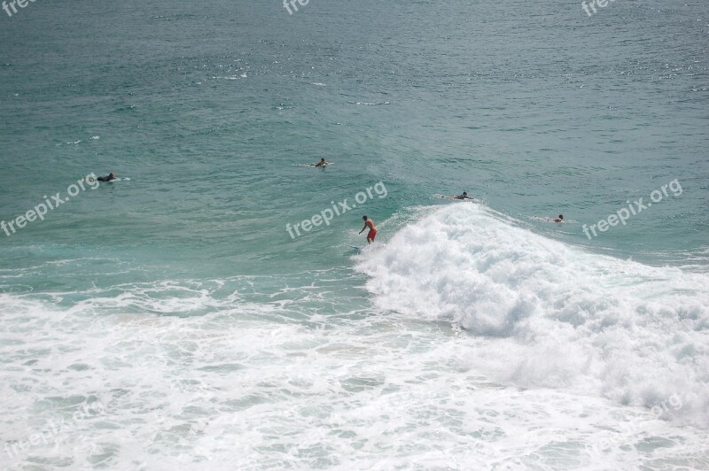 Surfer Surfing Waves Sea Ocean