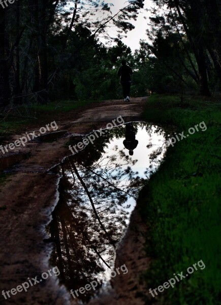 Corridor Walk Pinewood Water Reflection