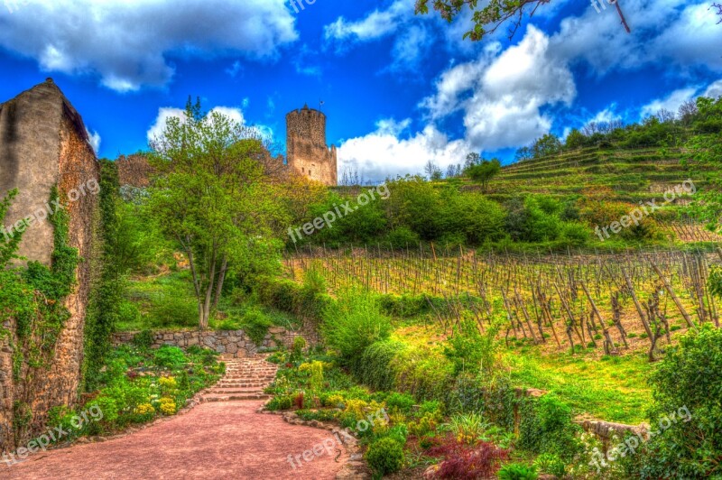 Kaysersberg Alsace France Castle Ruins Vineyards