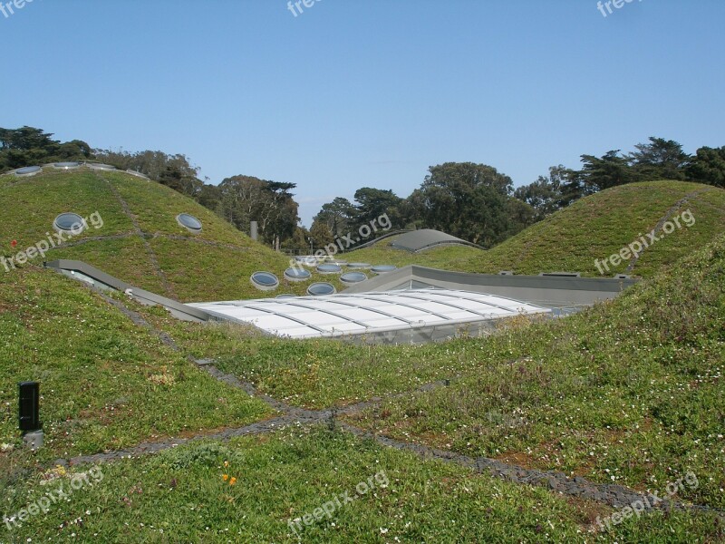 California Academy Of Sciences Green Roof Architecture Leed Platinum Free Photos