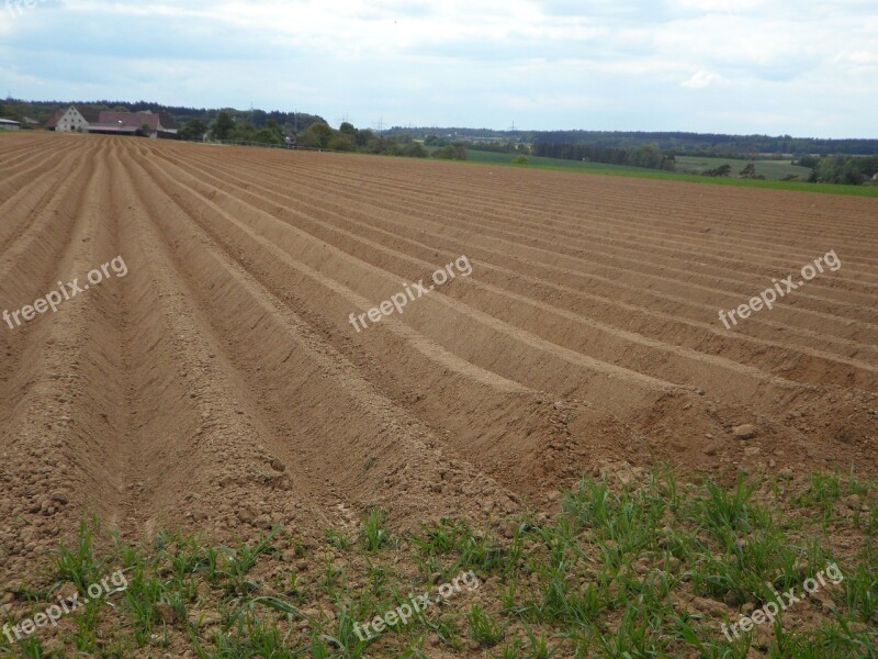 Ridge Arable Ackerfurchen Earth Cultivation