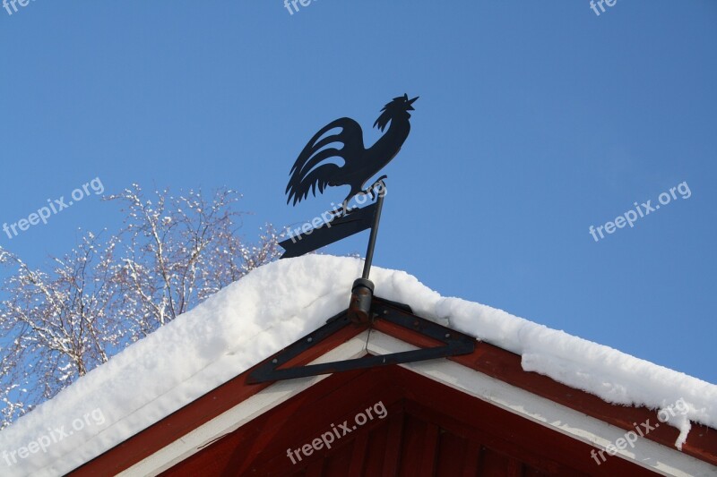 Weather Vane Cock Snow Winter Free Photos