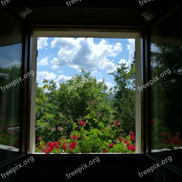 Landscape Window Opening Flowers Trees