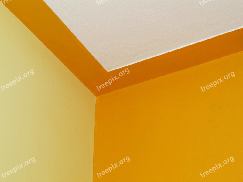 Edge Room Wall Ceiling Color Combination