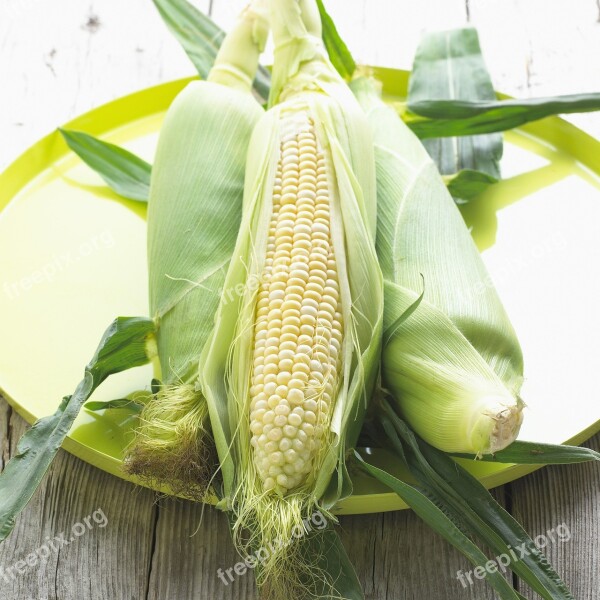 Corn Maize Vegetable Plant Food