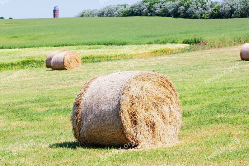 Straw Bales Straw Meadow Field Hay