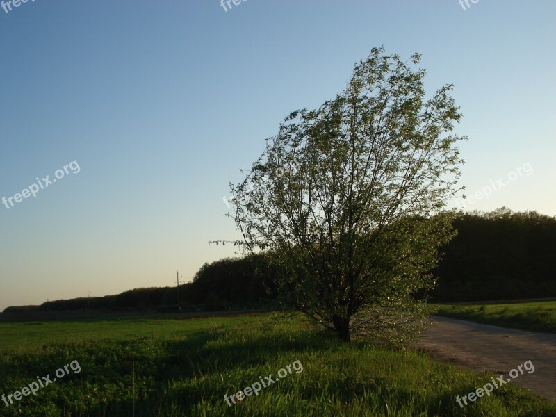 Landscape Nature Sunset Evening Evening Landscape