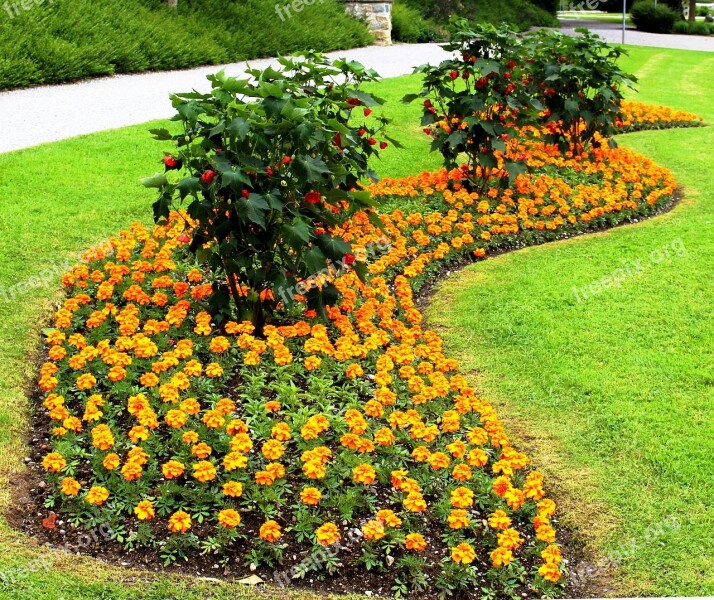 Park Discounts Flower Bed Flowers Ornamental Plants