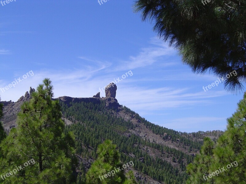 Roque Pine Gran Canaria Free Photos