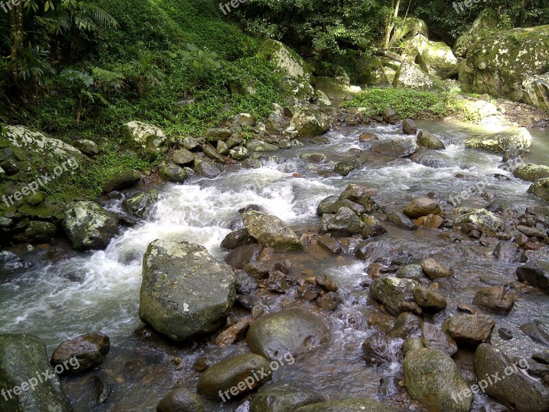 Stream Creek Flowing Flow Landscape