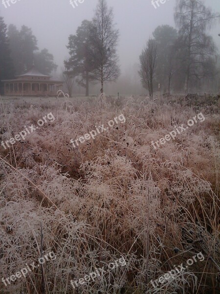 Grass Frost Bureå Mist Free Photos