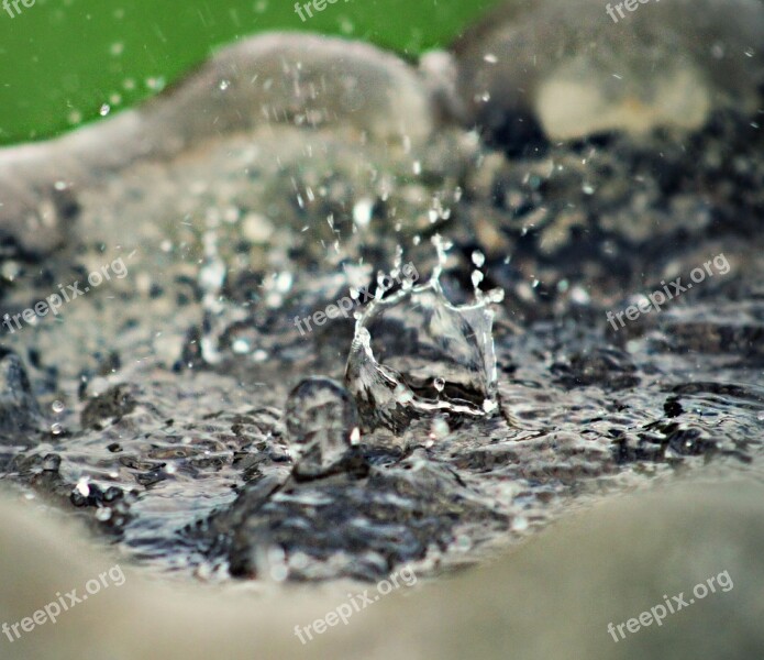 Water Splash Fountain Drop Free Photos