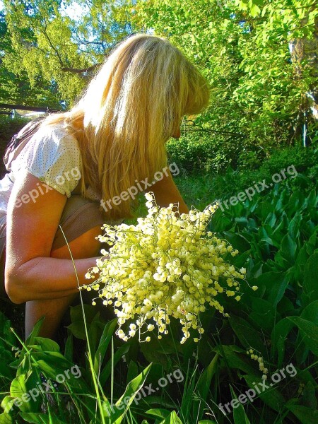 Flower Pickers Lilies Of The Valley Forest Glade Smith Ant Forest Enskede