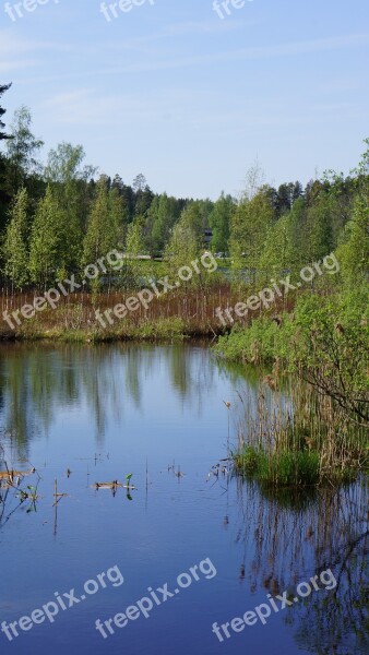 Finnish Landscape Swamp River Wetland