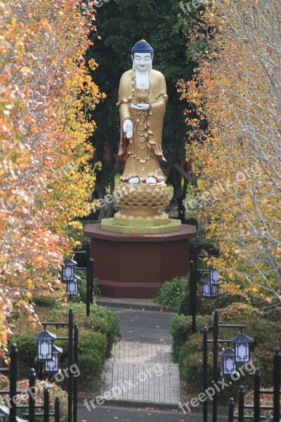 Buddha Monk Buddhism Religion India