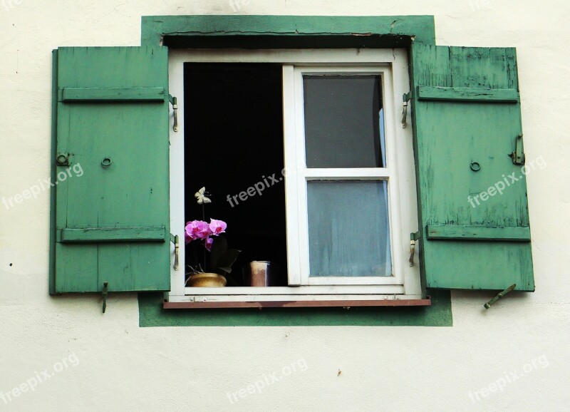 Window Shutter Wood Old Flower