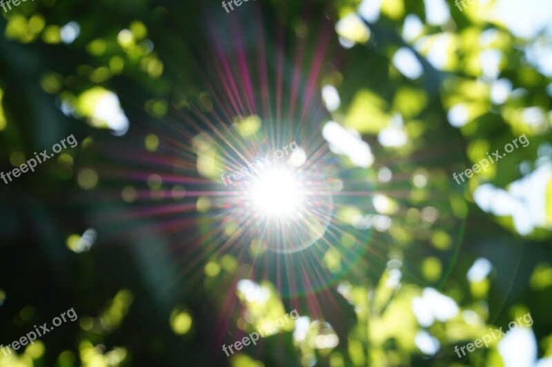 Abstract Sun Light Beams Green