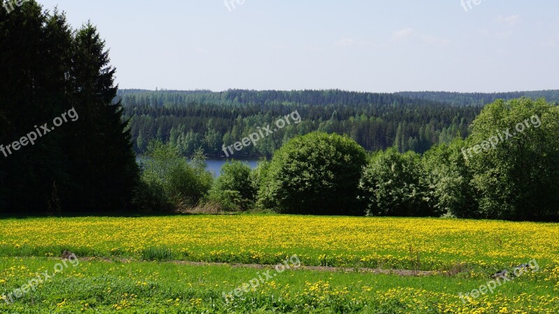 Finnish Landscape Field Forest Tarvaanrannassa Voikukkapelto