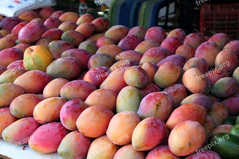 Mangoes Spain Andalusia Market Fruits