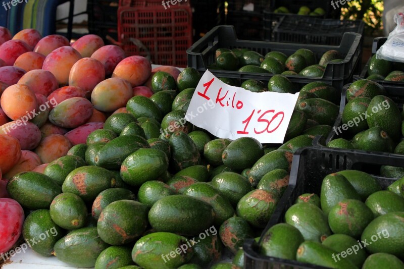 Avocados Spain Andalusia Market Fruits