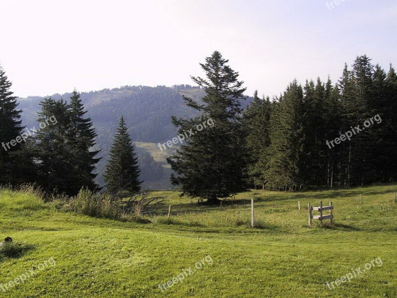 Oberstaufen Steibis Upper Rose Alp Nature Mountains