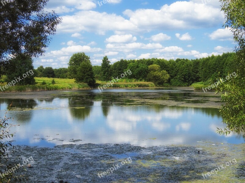 Ukraine Pond Water Reflections Landscape