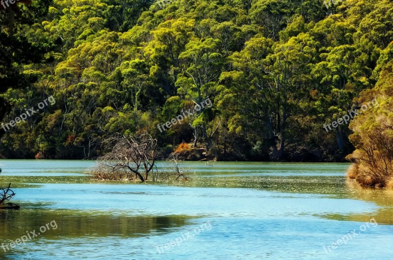 Tasmania River Water Landscape Scenic