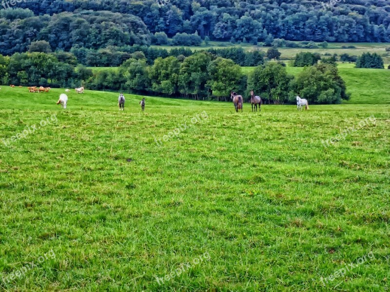 Ardennes France Landscape Scenic Hdr