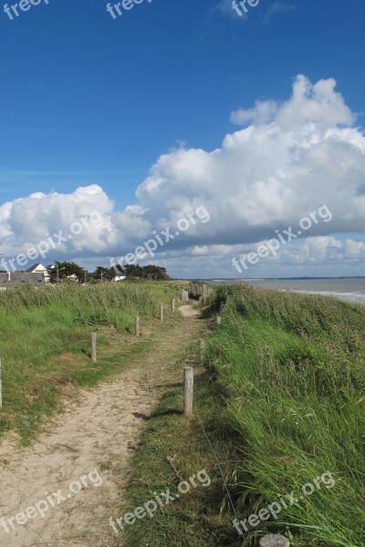 Dunes Atlantic Coast Grass Seaside Free Photos