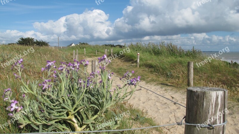 Dunes Sand Dunes Atlantic Coast Free Photos