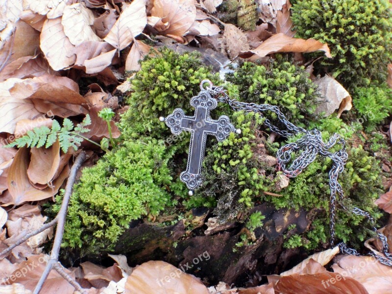 Cross Crucifix Moss Root Leaves