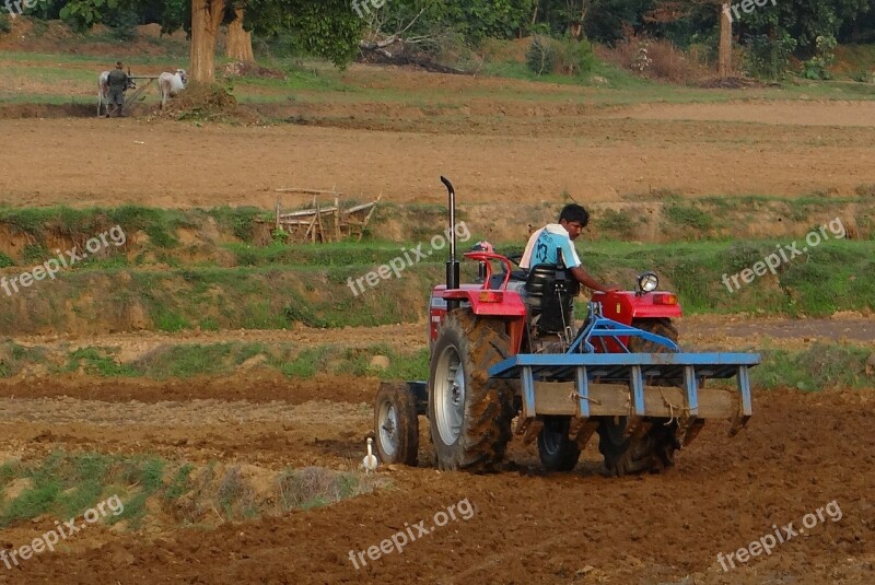 Tractor Tiller Tilling Equipment Agriculture