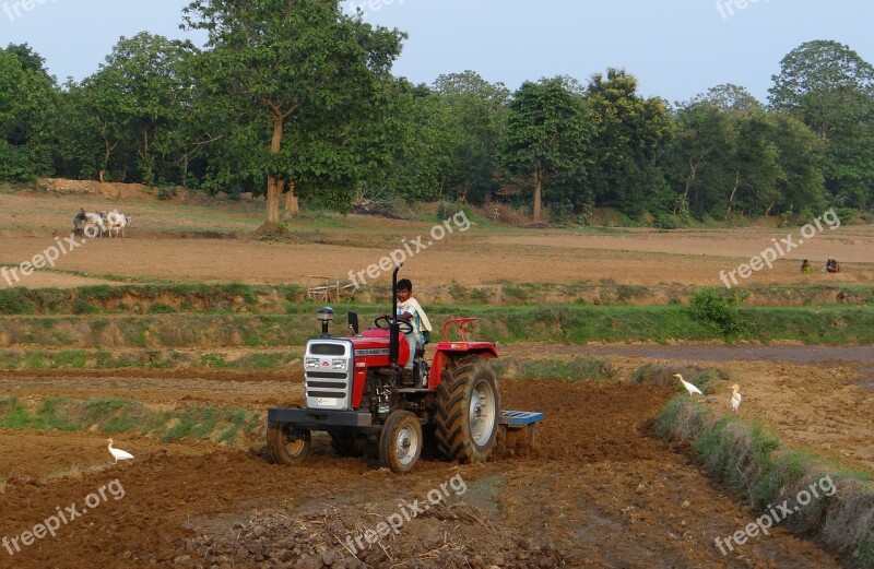 Tractor Tiller Tilling Equipment Agriculture