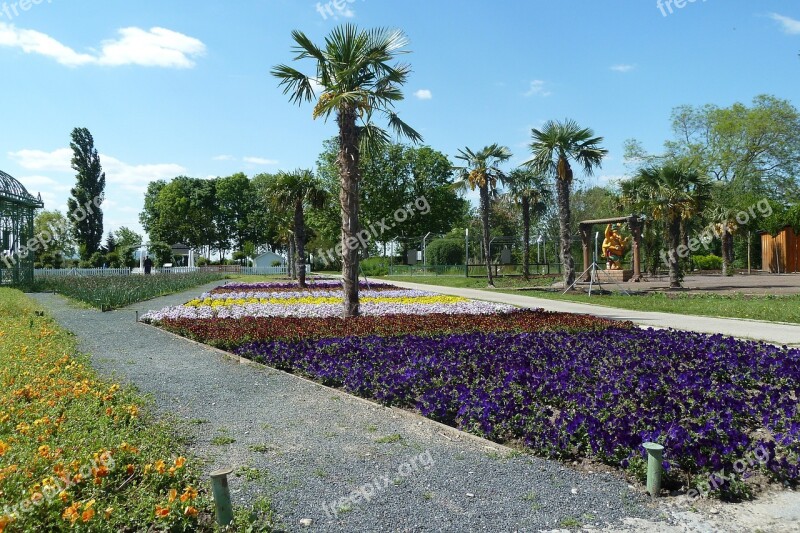 Flower Gardens Deer Stetten Spring Flower Bed Palm Colorful