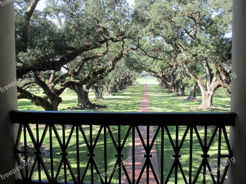 Alley Oaks Trees Path Balcony