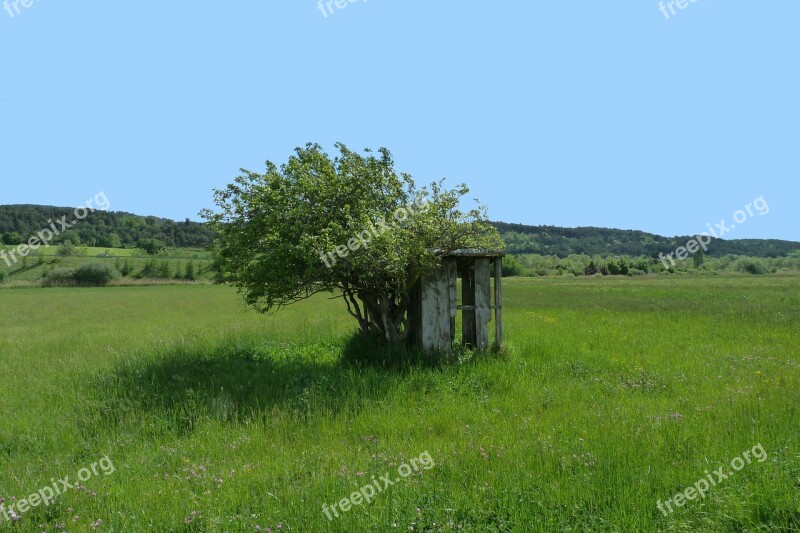 Cabin Abandoned Landscape Fields Trees