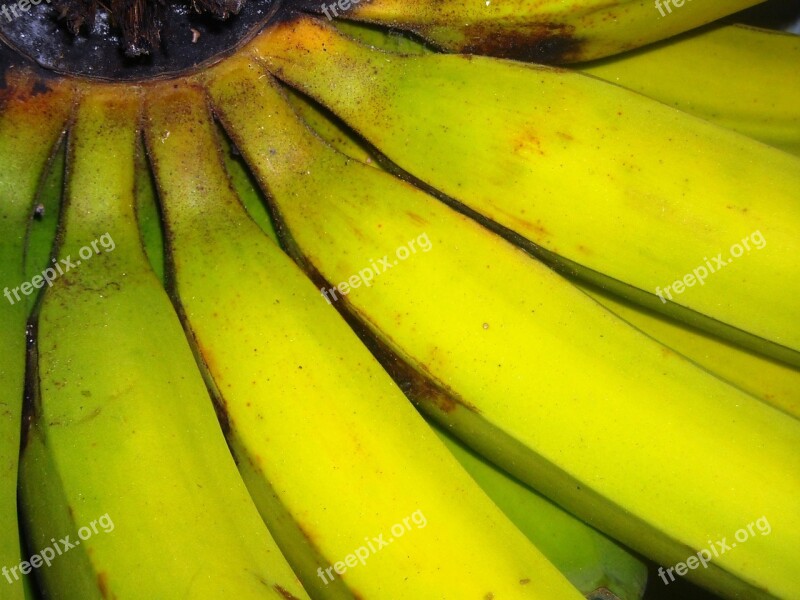 Bananas Fruit Green Yellow Tundun