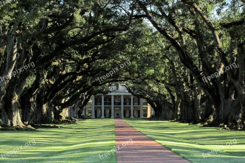 Mansion Alley Oaks Oak Trees Louisiana