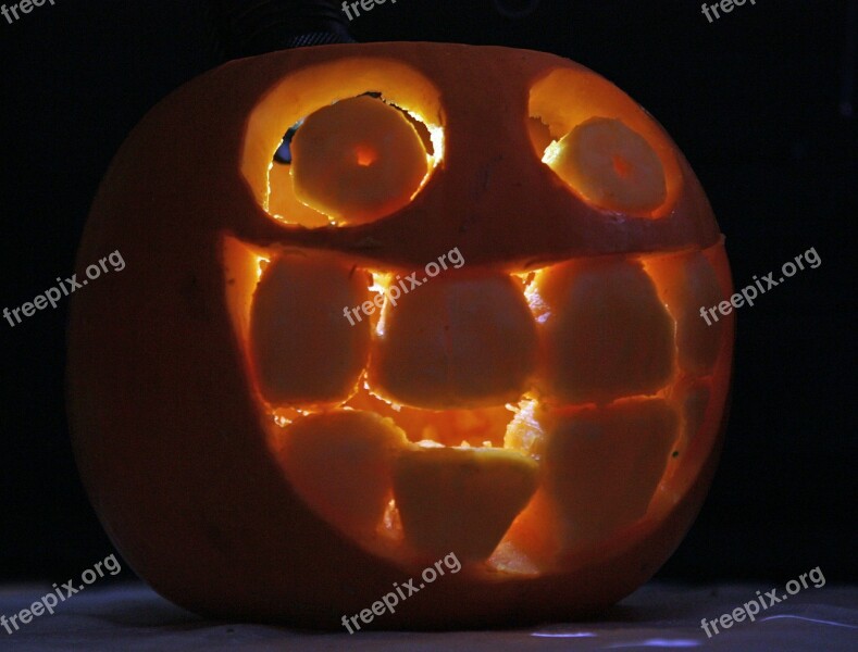 Pumpkin Autumn November Fall Pumpkins