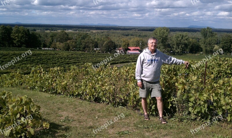 Vineyards Québec Vineyard Romance Canada