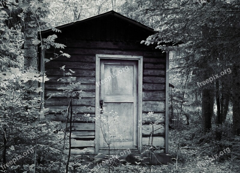 Hut Forest Nature Log Cabin Rest House